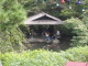 img0017.jpg