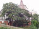 img0019.jpg
