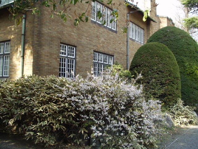 img0004.jpg