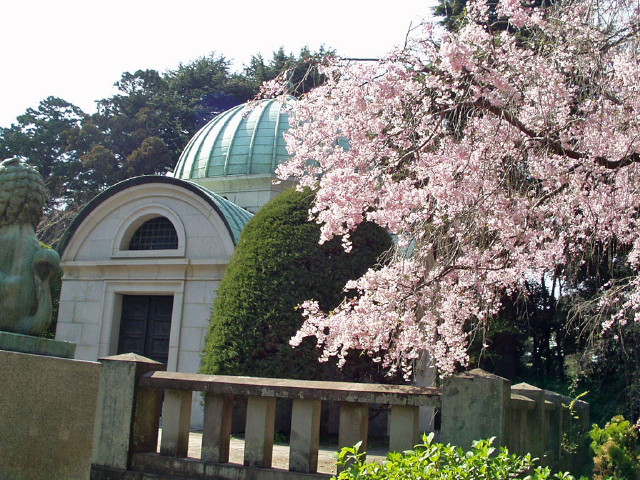 img0007.jpg