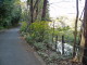 img0001.jpg