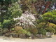img0005.jpg
