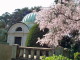 img0007.jpg