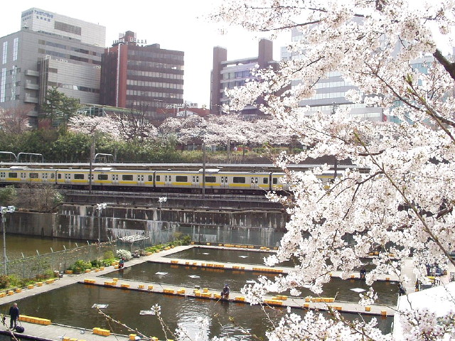 img0006.jpg