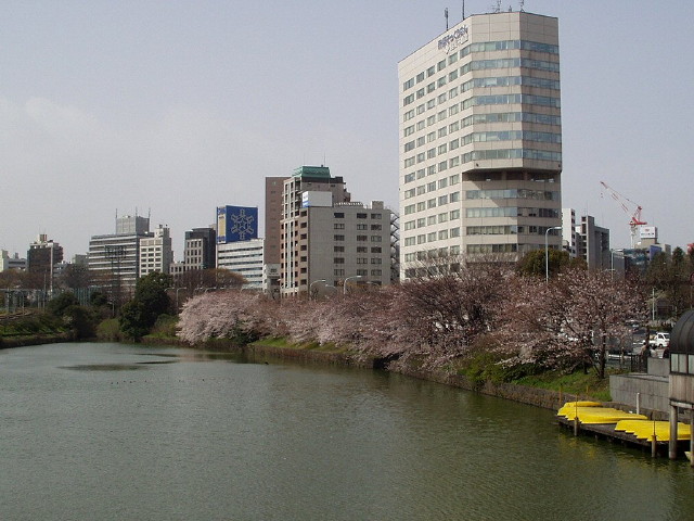img0008.jpg