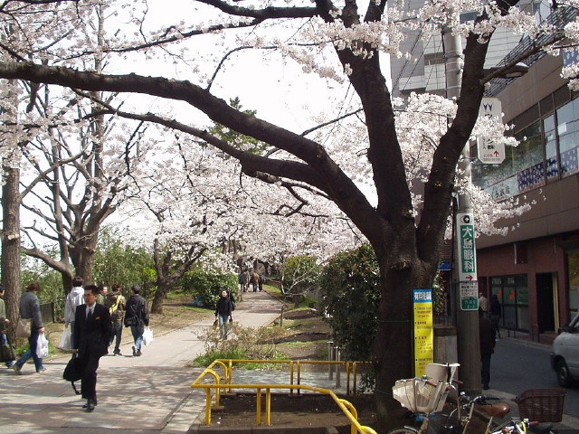 img0009.jpg