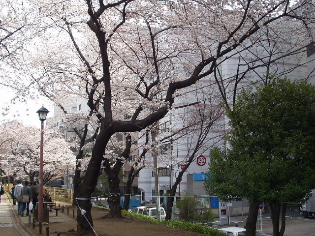 img0011.jpg