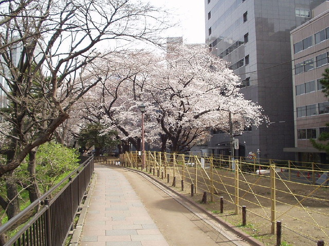 img0012.jpg