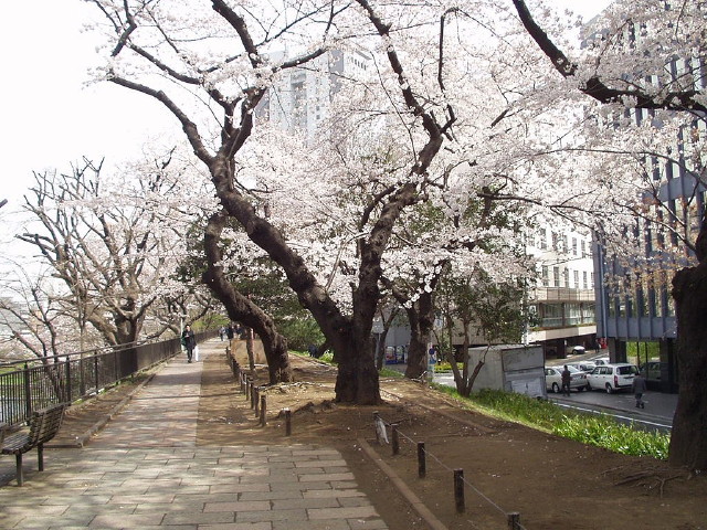 img0014.jpg