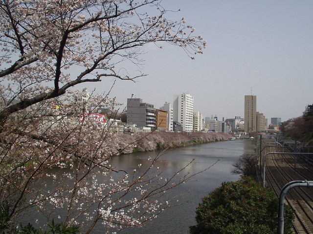 img0015.jpg