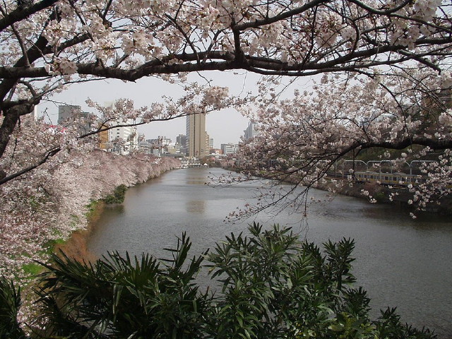 img0017.jpg