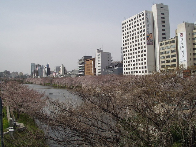 img0019.jpg