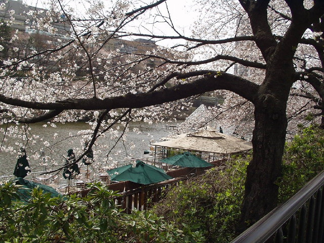 img0020.jpg