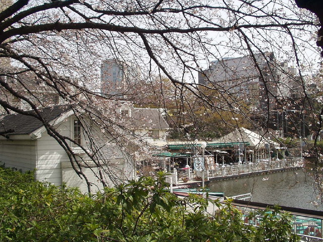 img0022.jpg