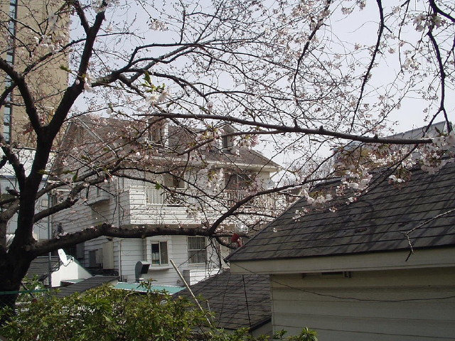 img0023.jpg