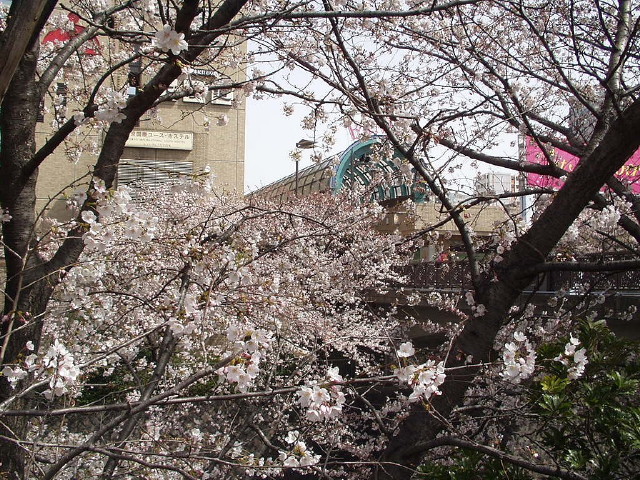 img0024.jpg