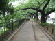 img0000.jpg
