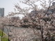 img0004.jpg