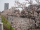 img0005.jpg