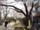 img0009.jpg