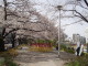 img0010.jpg