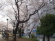 img0011.jpg