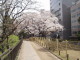 img0012.jpg