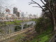 img0013.jpg