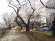 img0014.jpg