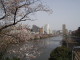 img0015.jpg