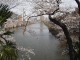 img0016.jpg