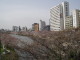 img0019.jpg