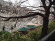 img0020.jpg