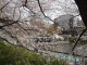 img0021.jpg