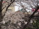 img0024.jpg