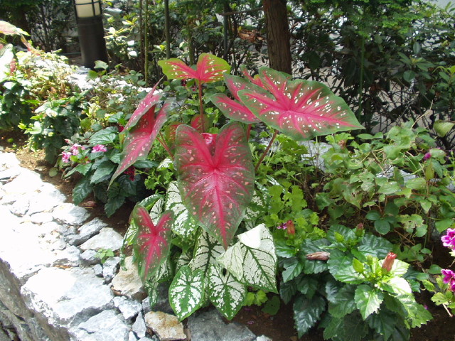 img0030.jpg