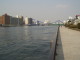 img0010.jpg