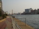 img0018.jpg