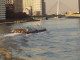 img0022.jpg