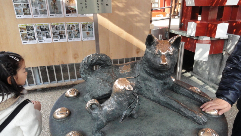 img0025.jpg