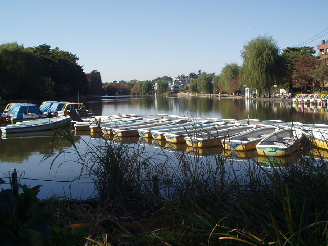 img0000.jpg
