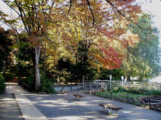 img0001.jpg