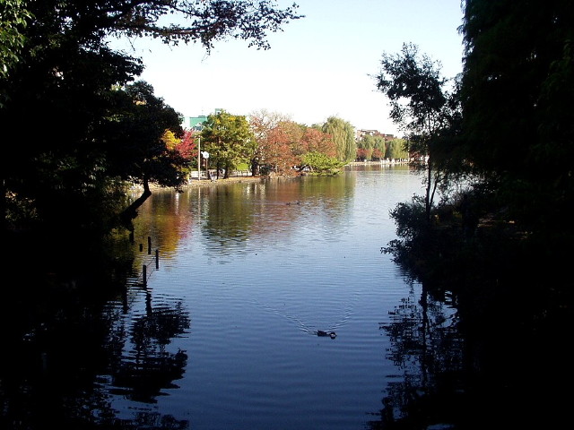 img0006.jpg
