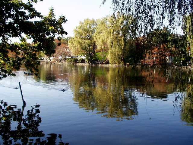 img0008.jpg