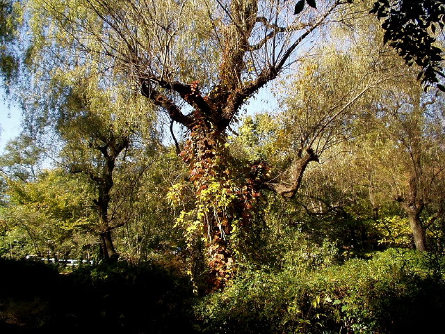 img0012.jpg