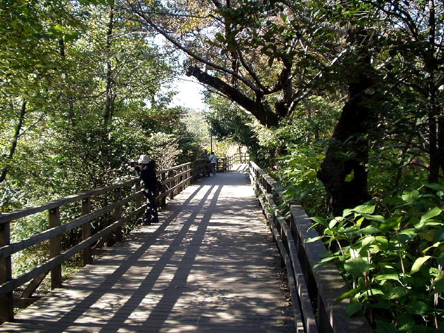 img0014.jpg