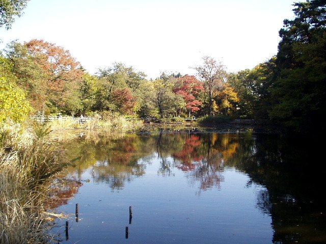img0015.jpg