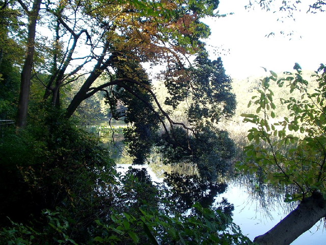 img0016.jpg