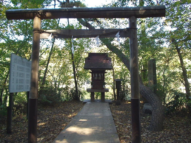 img0017.jpg
