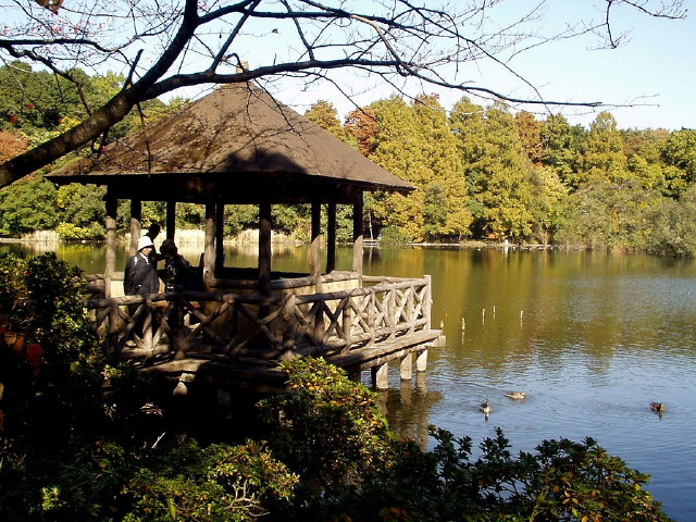 img0018.jpg